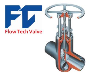 valve review parallel gate valves