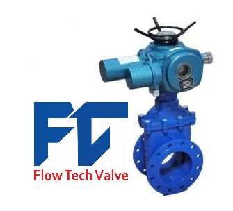 valve review wedge gate valve